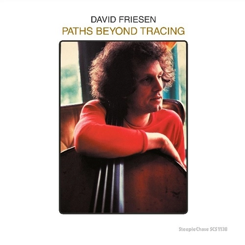 DAVID FRIESEN / デヴィッド・フリーゼン / PATHS BEYOND TRACING