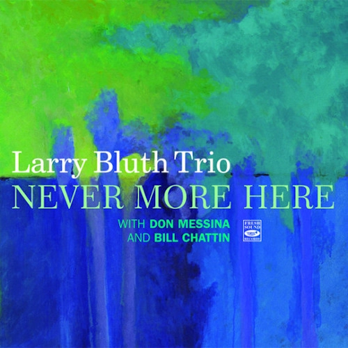 LARRY BLUTH / ラリー・ブルース / NEVER MORE HERE