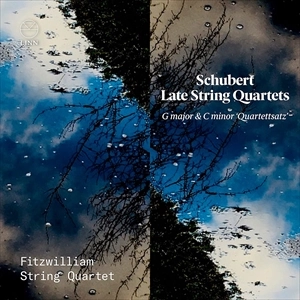 FITZWILLIAM STRING QUARTETS / フィッツウィリアム弦楽四重奏団 / シューベルト:弦楽四重奏曲第12、15番 / SCHUBERT:STRING QUARTETS