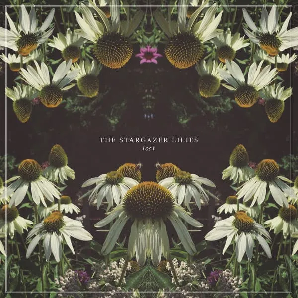 STARGAZER LILIES / LOST