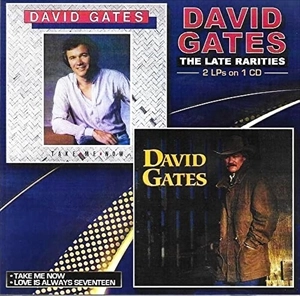 DAVID GATES / デヴィッド・ゲイツ / TAKE ME NOW / LOVE IS ALWAYS SEVENTEEN