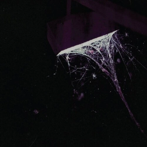 PLURALONE / プルーラル・ワン / ACROSS THE PARK B/ W SEVENS
