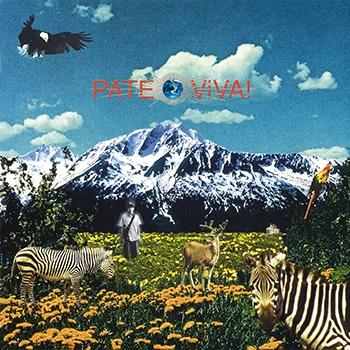 PATE / ViVA ! (LABEL ON DEMAND)