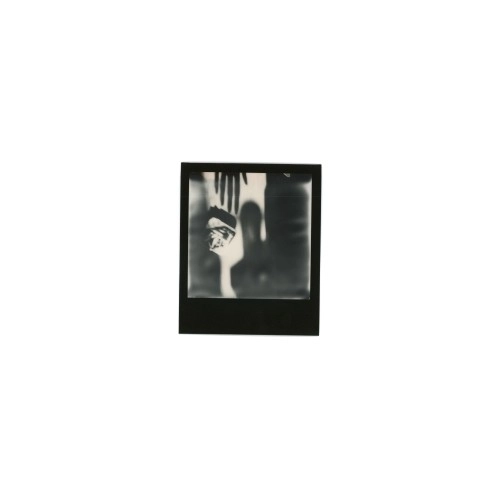 THE RATEL / ザ ラーテル / Scan（LP）