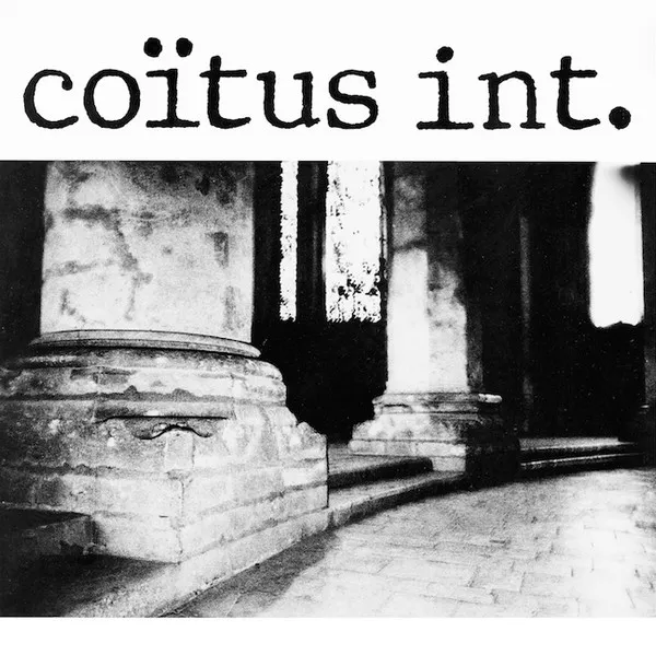 COITUS INT / COITUS INT