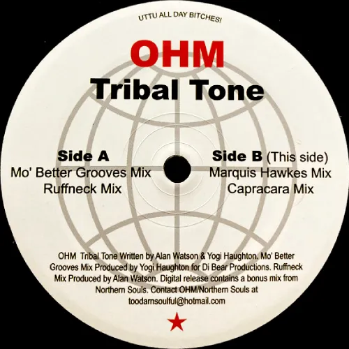 OHM (AL WATSON & YOGI HAUGHTON) / TRIBAL TONE