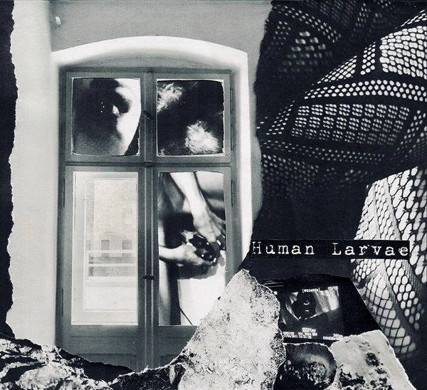 HUMAN LARVAE / ヒューマン・ラーヴィー / PURE SEX