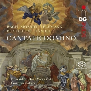 ENSEMBLE BACHWERKVOKAL / アンサンブル・バッハヴェルクヴォーカル / CANTATE DOMINO