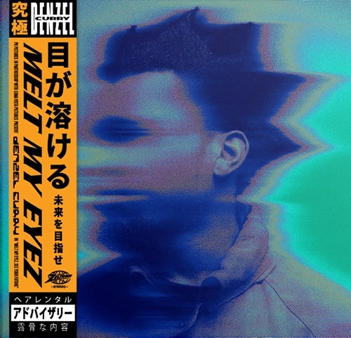 DENZEL CURRY / MELT MY EYEZ SEE YOUR FUTURE (BLACK VINYL)