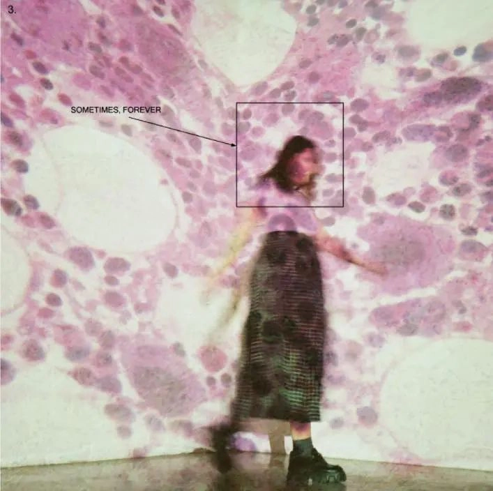 SOCCER MOMMY / サッカー・マミー / SOMETIMES, FOREVER (CD)
