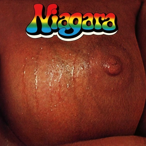 NIAGARA (DEU) / ナイアガラ / NIAGARA: LIMITED VINYL