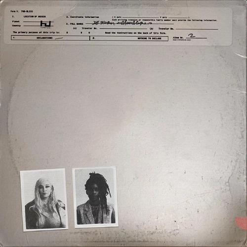 700 BLISS / NOTHING TO DECLARE (LP)