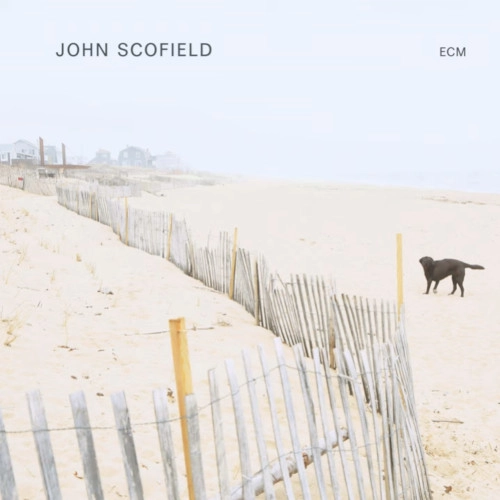 JOHN SCOFIELD / ジョン・スコフィールド / JOHN SCOFIELD