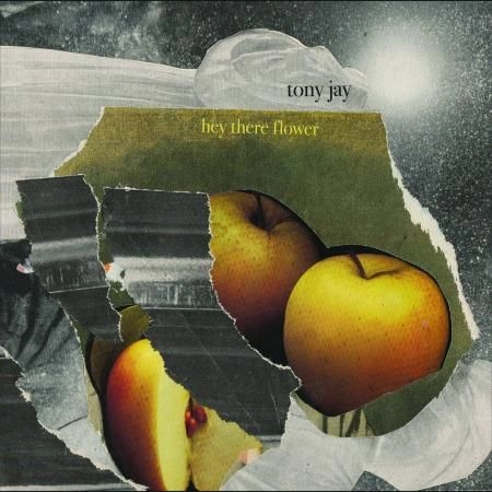 TONY JAY / HEY THERE FLOWER