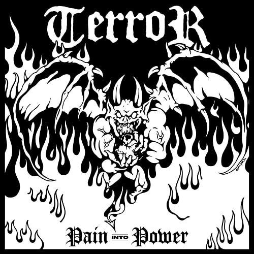 TERROR / PAIN INTO POWER