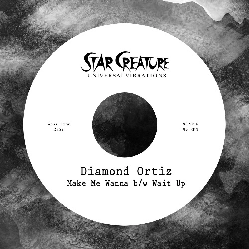 DIAMOND ORTIZ / MAKE ME WANNA / WAIT UP
