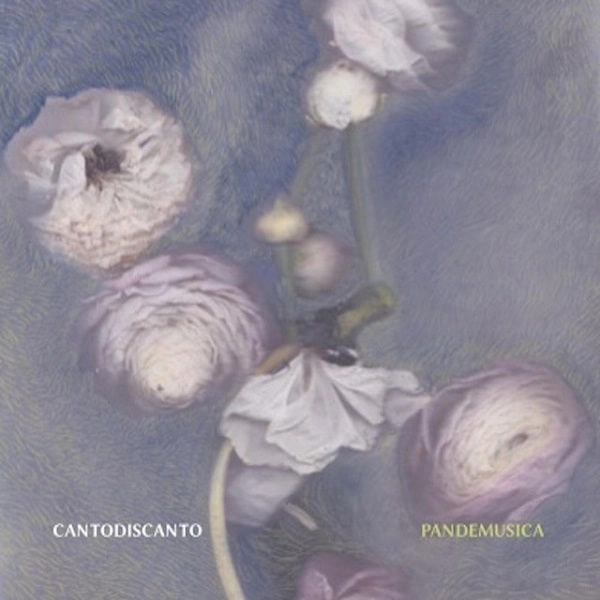 CANTODISCANTO / カントディスカント / PANDEMUSICA