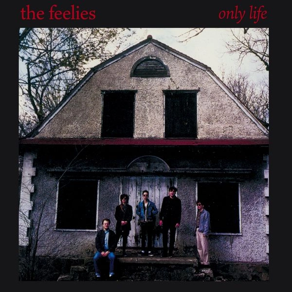 FEELIES / フィーリーズ / ONLY LIFE