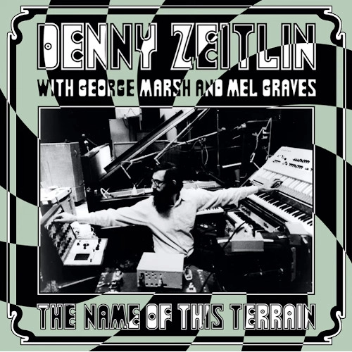 DENNY ZEITLIN / デニー・ザイトリン / THE NAME OF THIS TERRAIN (LP) / NAME OF THIS TERRAIN (LP)