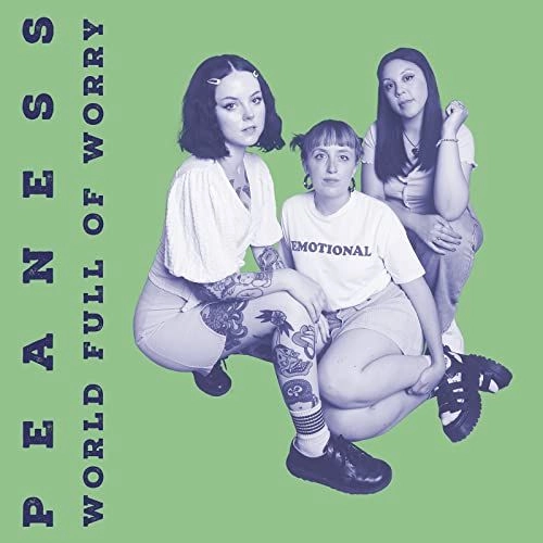 PEANESS / ピーネス / WORLD FULL OF WORRY (CD)