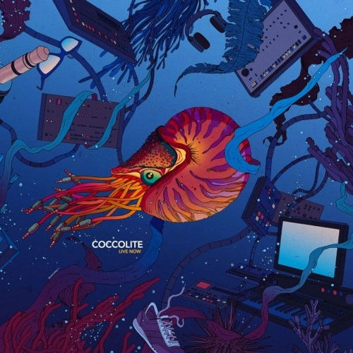 COCCOLITE / LIVE NOW