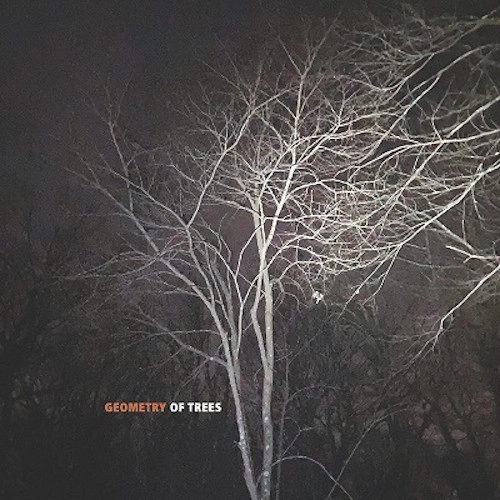 TOMEKA REID / トミーカ・リード / GEOMETRY OF TREES