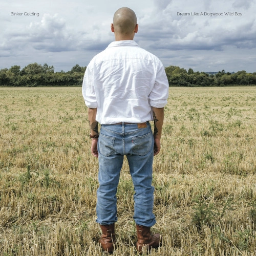 BINKER GOLDING / ビンカー・ゴールディング / ドリーム･ライク･ア･ドッグウッド･ワイルド･ボーイ（LP） / Dream LIke A Dogwood Wild Boy(LP)