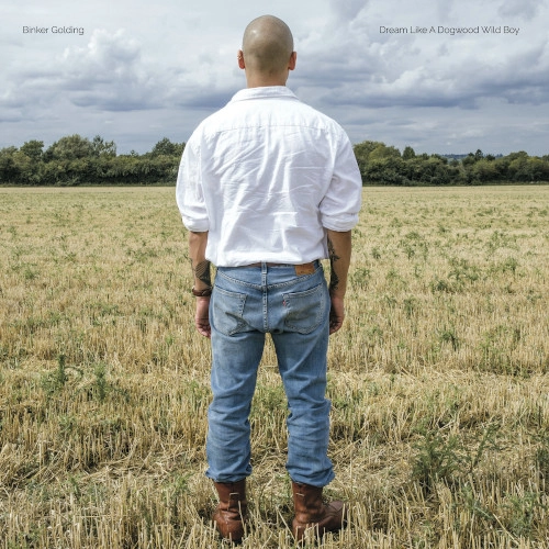 BINKER GOLDING / ビンカー・ゴールディング / DREAM LIKE A DOGWOOD WILD BOY(LP)