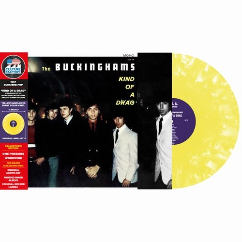 BUCKINGHAMS / バッキンガムズ / KIND OF A DRAG (CLOUDY YELLOW & TRANSLUCENT VINYL)