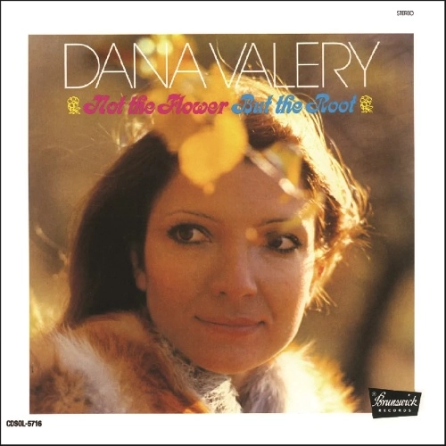 DANA VALLERY / ダナ・ヴァレリー / ノット・ザ・フラワー・バット・ザ・ルート +1