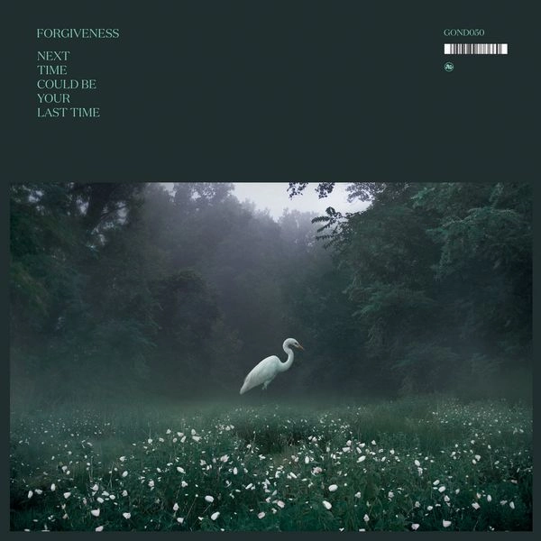 FORGIVENESS / フォーギヴネス / NEXT TIME COULD BE YOUR LAST TIME (VINYL)