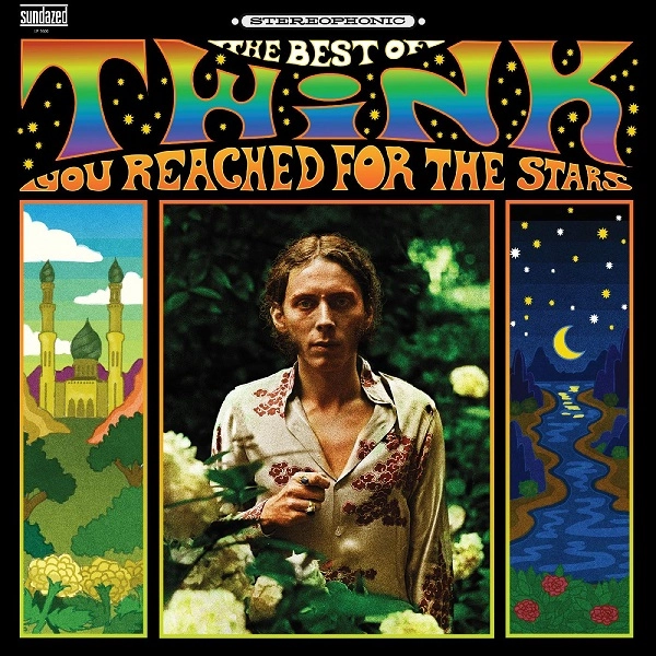 TWINK / トゥインク / YOU REACHED FOR THE STARS: THE BEST OF TWINK (LP)