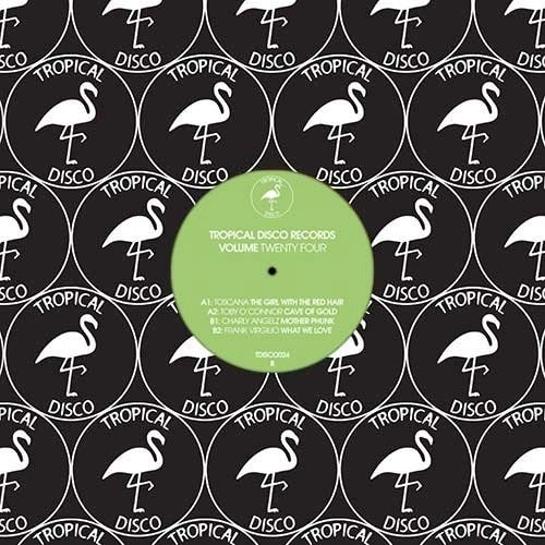 V.A. (TROPICAL DISCO) / TROPICAL DISCO RECORDS, VOL. 24
