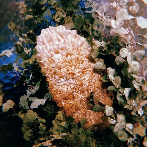サマードレス / BLOOM E.P