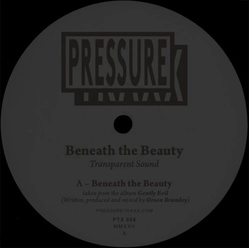 TRANSPARENT SOUND / BENEATH THE BEAUTY