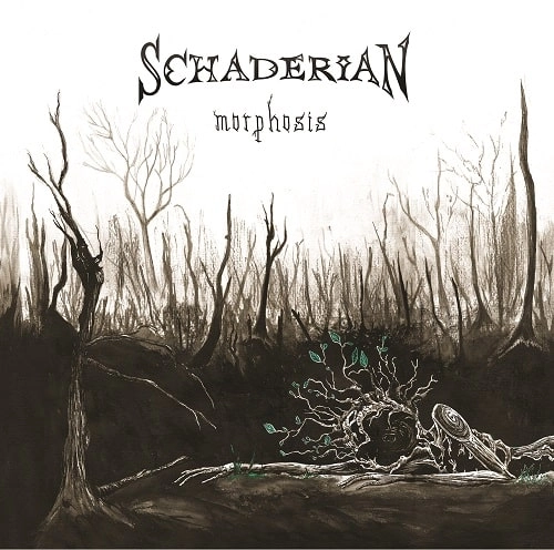 SCHADERIAN / MORPHOSIS
