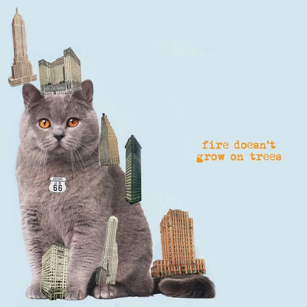 BRIAN JONESTOWN MASSACRE / ブライアン・ジョーンズタウン・マサカー / FIRE DOESN'T GROW ON TREES (VINYL)