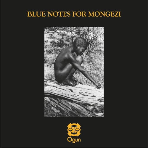 BLUE NOTES(CHRIS MCGREGOR) / ブルー・ノーツ(クリス・マクレガー) / BLUE NOTES FOR MONGEZI