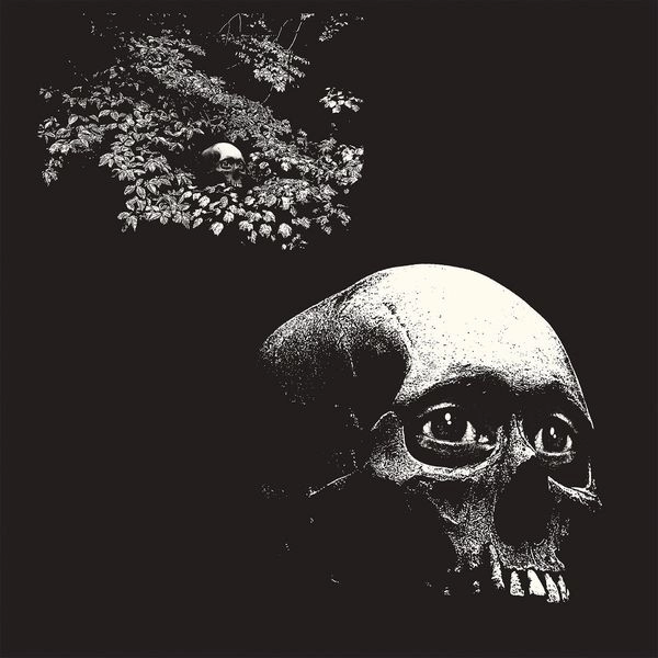 OSEES / A FOUL FORM (CD)