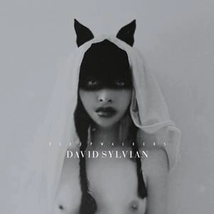 DAVID SYLVIAN / デヴィッド・シルヴィアン / SLEEPWALKERS (LP)