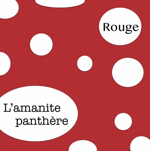 L'amanite panthere / Rouge