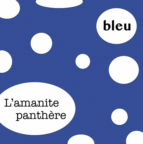 L'amanite panthere / bleu