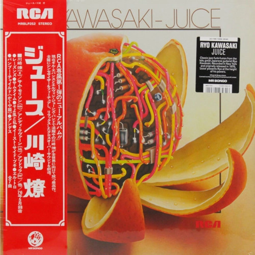 RYO KAWASAKI / 川崎燎 / JUICE (LP)