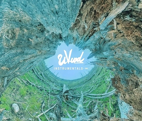 UVERworld / INSTRUMENTALS-∞