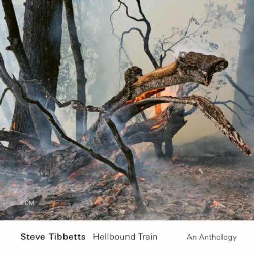 STEVE TIBBETTS / スティーヴ・ティべッツ / HELLBOUND TRAIN: AN ANTHOLOGY (2CD)