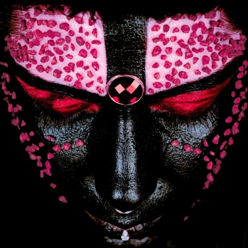 DALILA KAYROS / ANIMAMI: LIMITED VINYL