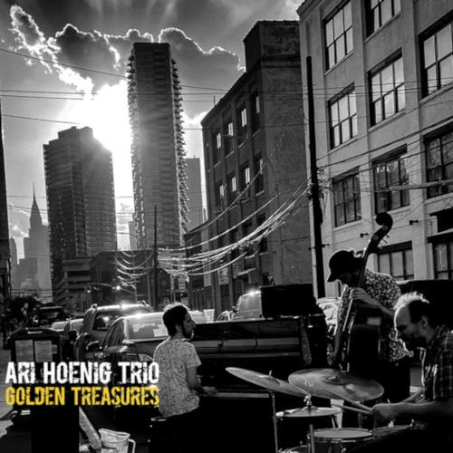 ARI HOENIG / アリ・ホーニグ / GOLDEN TREASURES