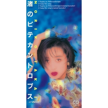 NORIKO SAKAI / 酒井法子 / 渚のピテカントロプス（LABEL ON DEMAND）