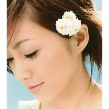 NORIKO SAKAI / 酒井法子 / 天下無敵の愛（LABEL ON DEMAND）