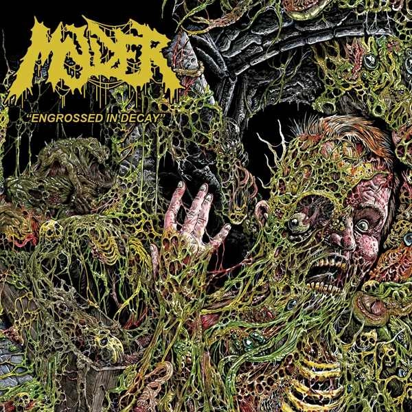 MOLDER / ENGROSSED IN DECAY